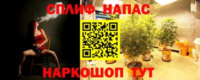 круглые Гусев