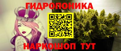 круглые Гусев